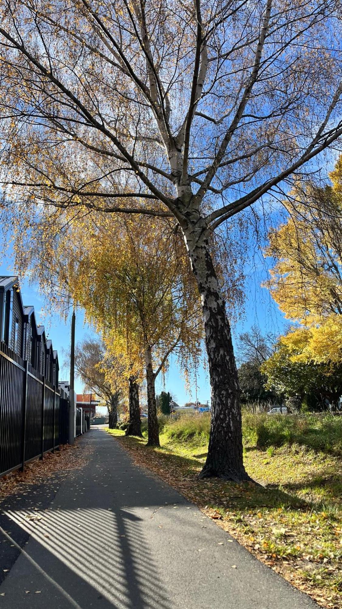 Luxury 2 Bedroom By St James Park Christchurch Luaran gambar